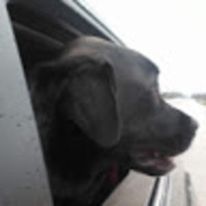 Meet your Posher, Nathan